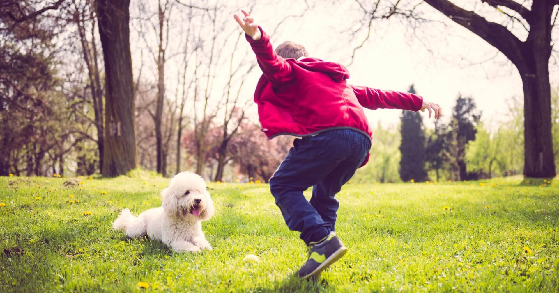 Mijn kind wil een hond: de realiteit - Amber Hondenopvoedkunde