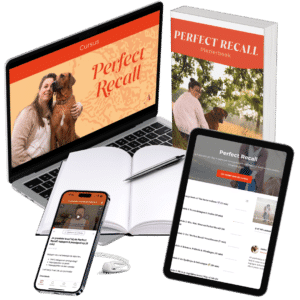 Perfect Recall online cursus
