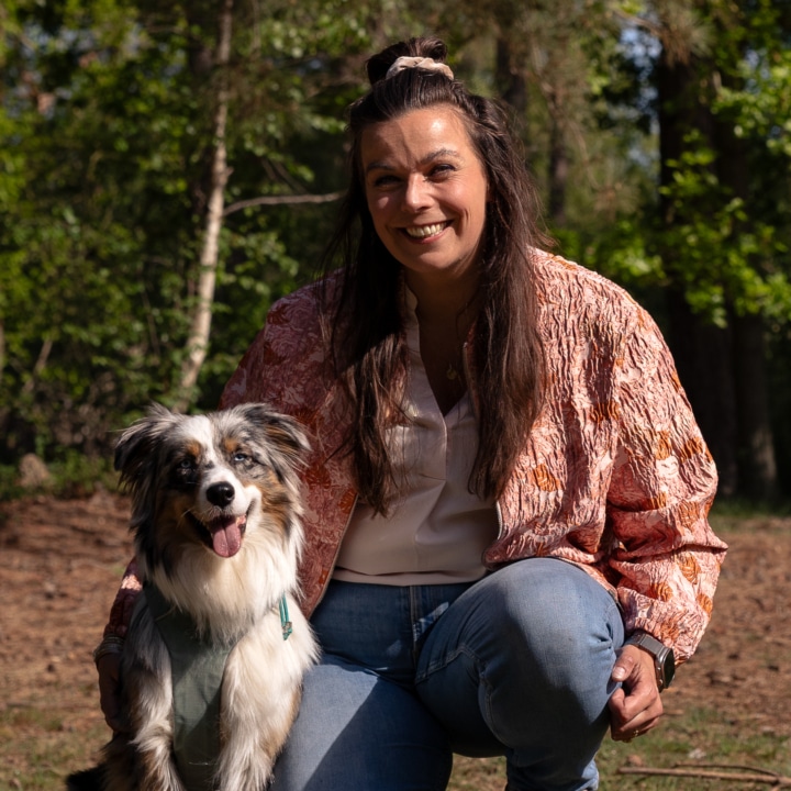 Australian Shepherd college
